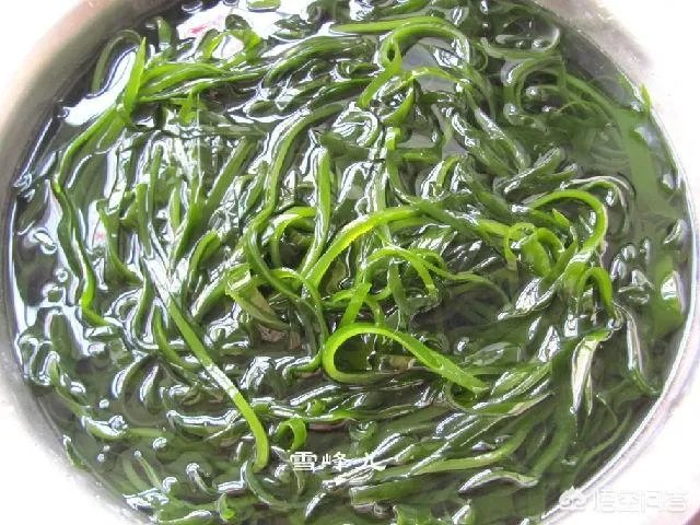 怎么挑选最鲜的海鲜?