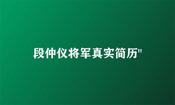 段仲仪将军真实简历