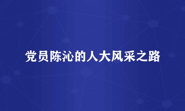党员陈沁的人大风采之路