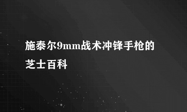 施泰尔9mm战术冲锋手枪的芝士百科