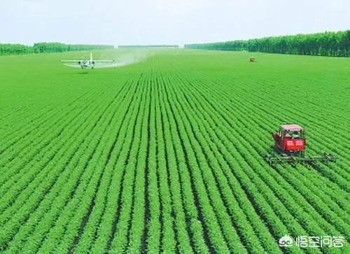 你们认为粮食价格管控会放开吗？为什么？