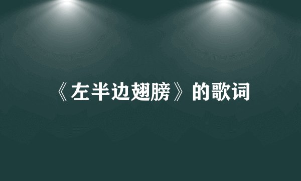 《左半边翅膀》的歌词