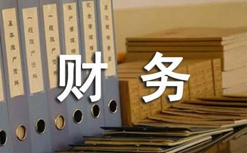 财务年度工作总结