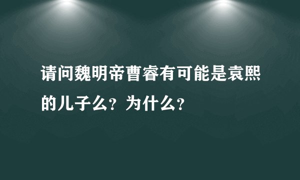 请问魏明帝曹睿有可能是袁熙的儿子么？为什么？