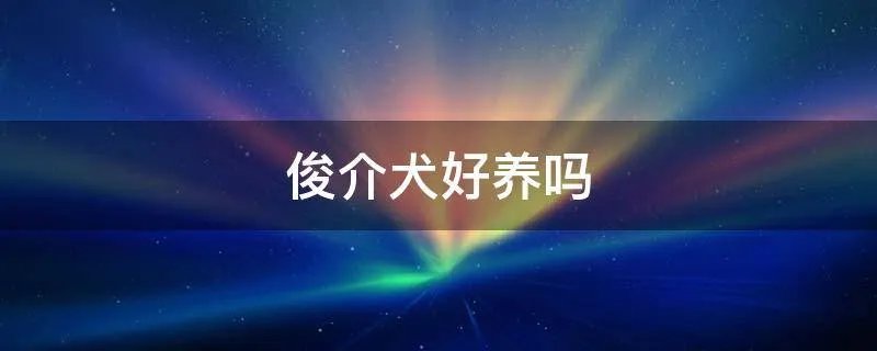 俊介犬好养吗