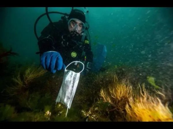 15亿只废弃口罩流入海洋,这对海洋生物造成了多大的危害?