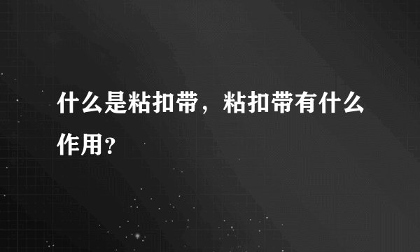 什么是粘扣带，粘扣带有什么作用？