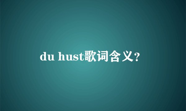 du hust歌词含义？