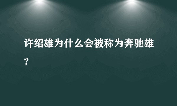 许绍雄为什么会被称为奔驰雄？