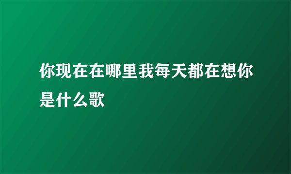 你现在在哪里我每天都在想你是什么歌