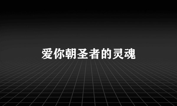 爱你朝圣者的灵魂