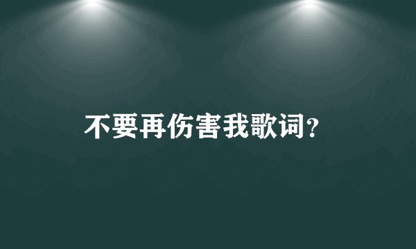 不要再伤害我歌词?