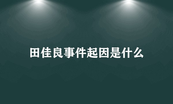 田佳良事件起因是什么