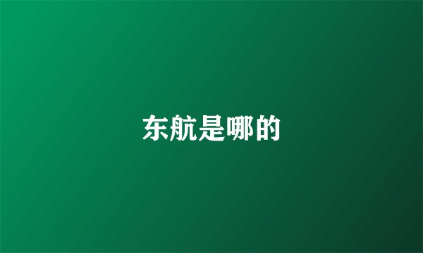 东航是哪的