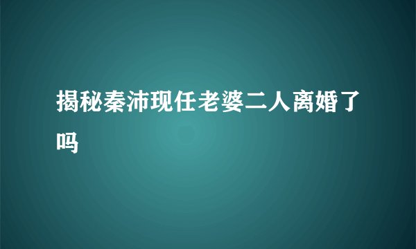 揭秘秦沛现任老婆二人离婚了吗