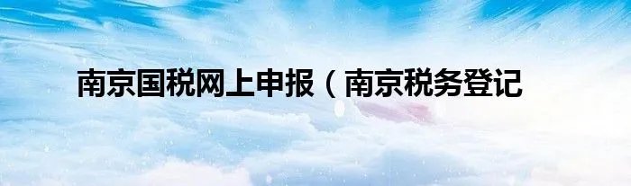 南京国税网上申报（南京税务登记