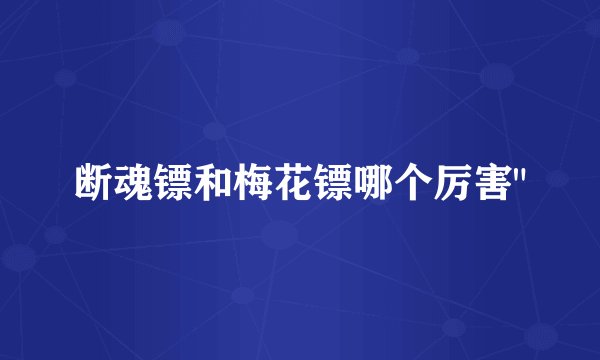 断魂镖和梅花镖哪个厉害