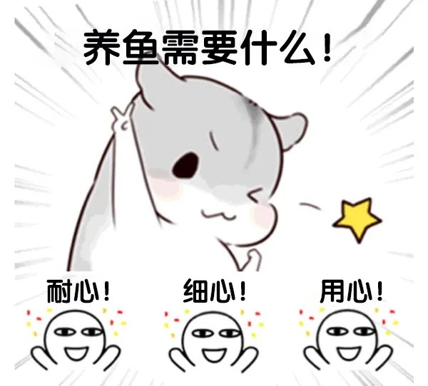 《萌鱼泡泡》萌鱼攻略(一)· 喂食篇