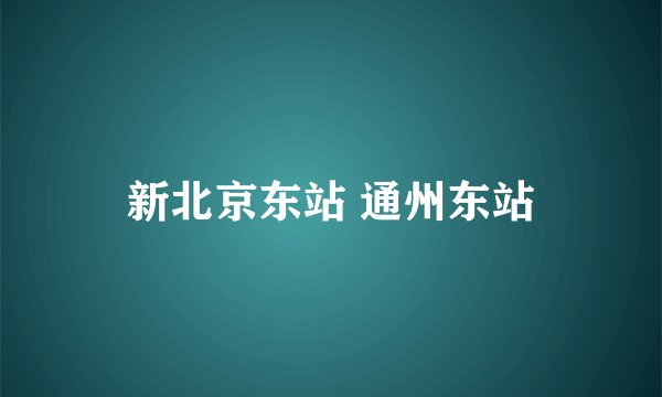 新北京东站 通州东站