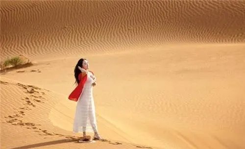 沙漠里遍地都是西瓜,为什么没人敢吃?它是什么东西?