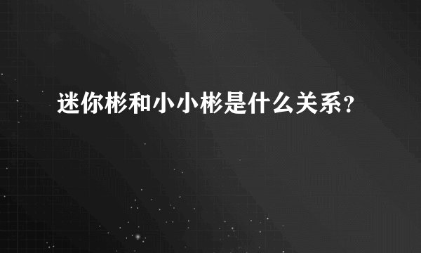 迷你彬和小小彬是什么关系？
