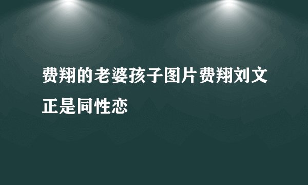 费翔的老婆孩子图片费翔刘文正是同性恋