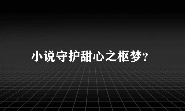 小说守护甜心之枢梦？
