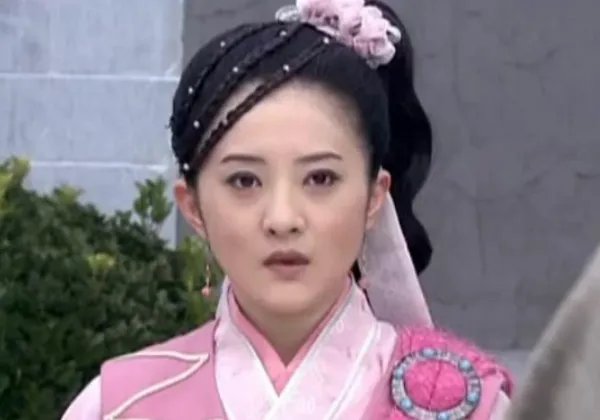 有关丁月华的电视剧