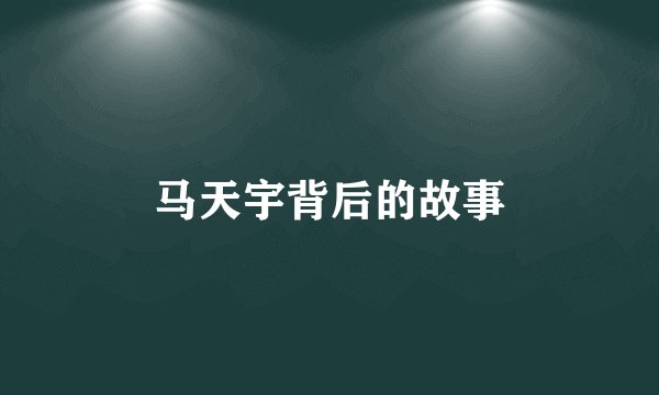 马天宇背后的故事