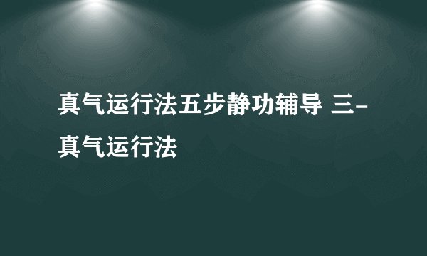 真气运行法五步静功辅导 三-真气运行法
