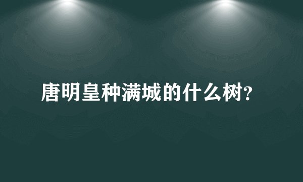 唐明皇种满城的什么树？