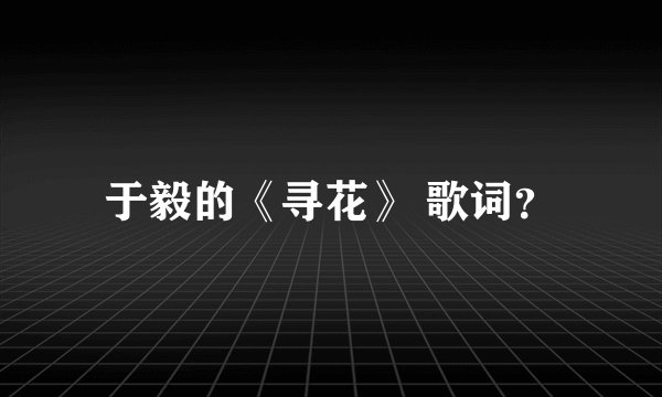 于毅的《寻花》 歌词？