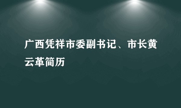 广西凭祥市委副书记、市长黄云革简历