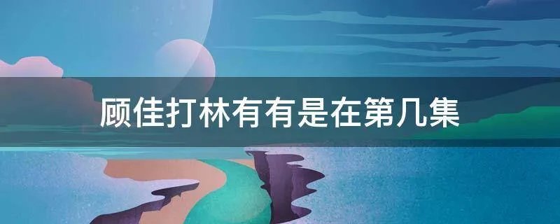 顾佳打林有有是在第几集