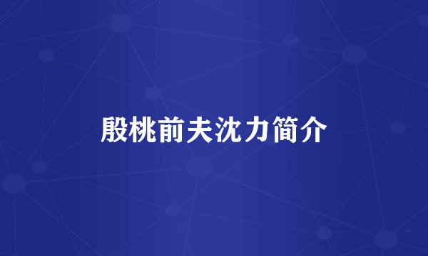 殷桃前夫沈力简介