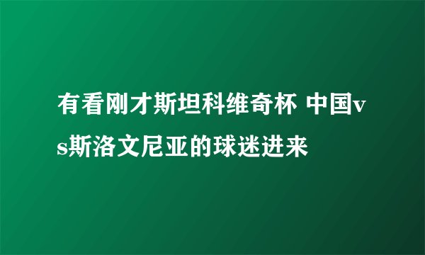 有看刚才斯坦科维奇杯 中国vs斯洛文尼亚的球迷进来