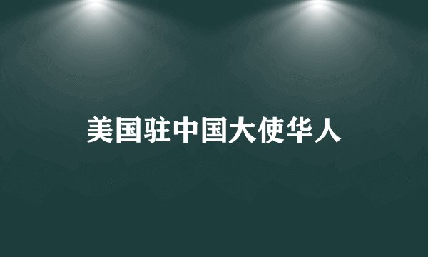 美国驻中国大使华人
