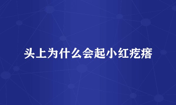头上为什么会起小红疙瘩
