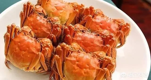 怎么挑选最鲜的海鲜?