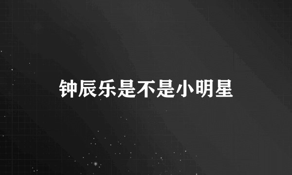 钟辰乐是不是小明星