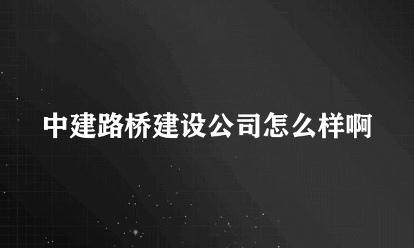 中建路桥建设公司怎么样啊