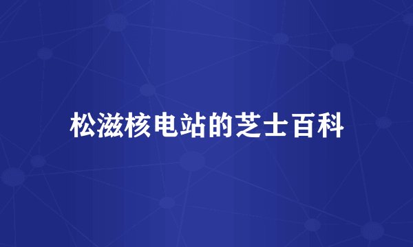 松滋核电站的芝士百科