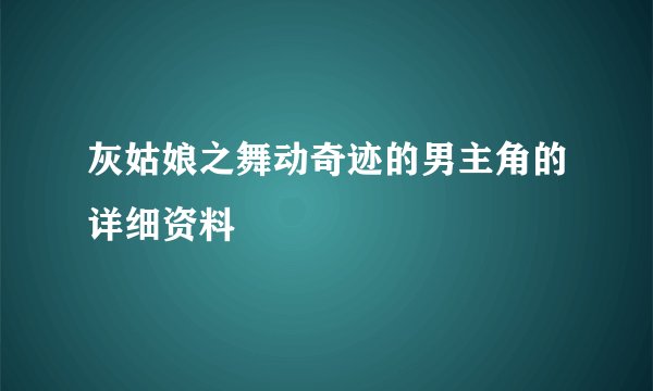 灰姑娘之舞动奇迹的男主角的详细资料