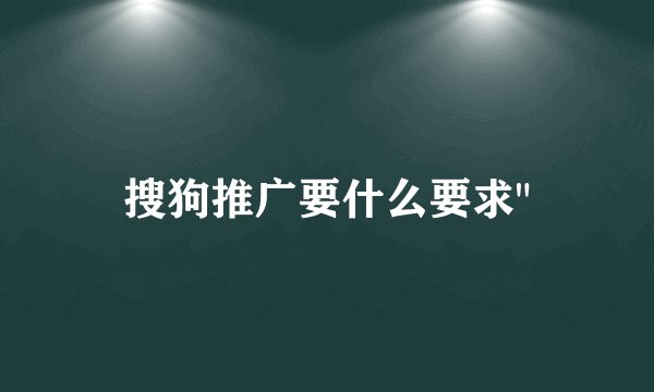 搜狗推广要什么要求
