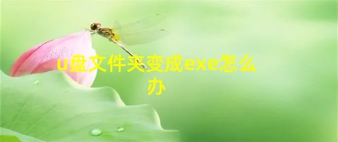 u盘文件夹变成exe怎么办