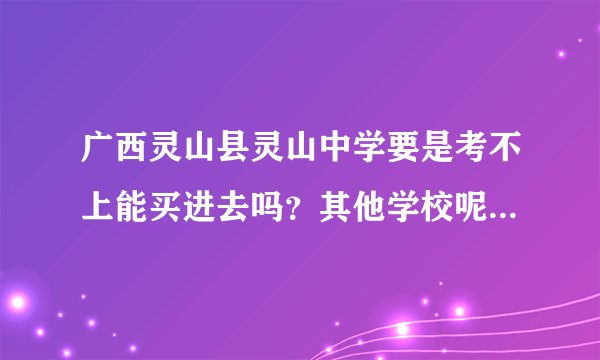 广西灵山县灵山中学要是考不上能买进去吗？其他学校呢…求回答…