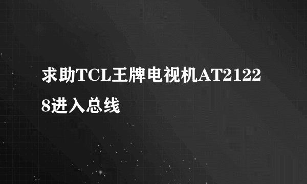 求助TCL王牌电视机AT21228进入总线