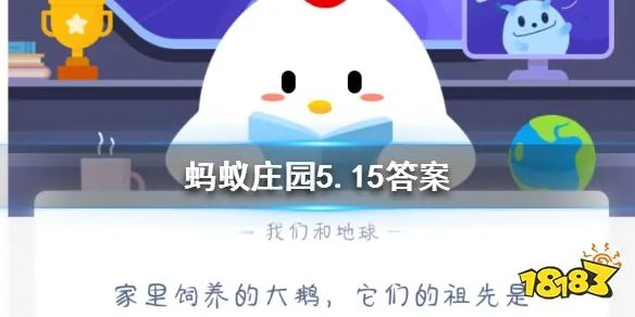 提问!家里饲养的大鹅 它们的祖先是什么你造吗?