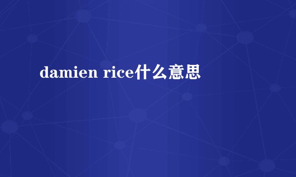 damien rice什么意思