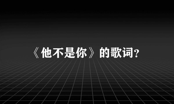 《他不是你》的歌词？